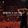 Depeche Mode Spirits In The Forest